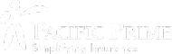 PP Logo white